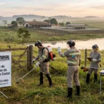 Curso NR-31 Operador Roçadeira Paulínia
